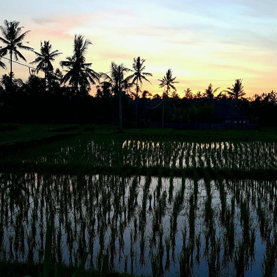 Rumah Sungai Villa อูบุด ภายนอก รูปภาพ