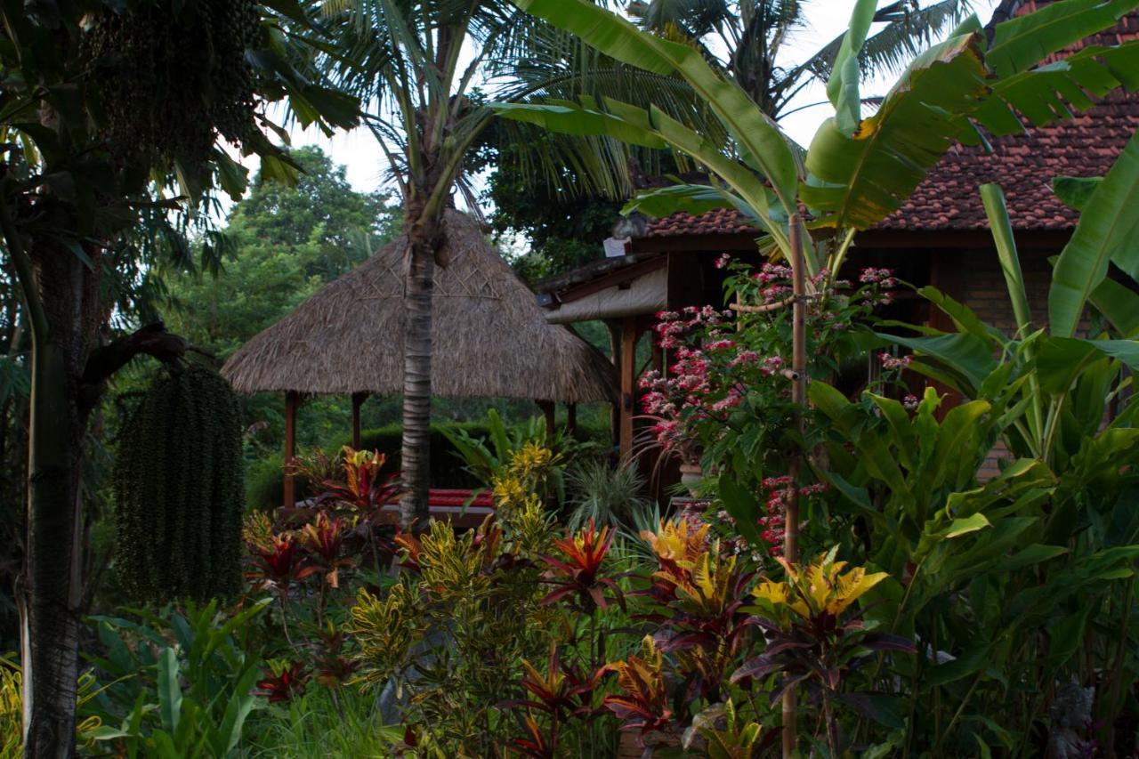Rumah Sungai Villa อูบุด ภายนอก รูปภาพ