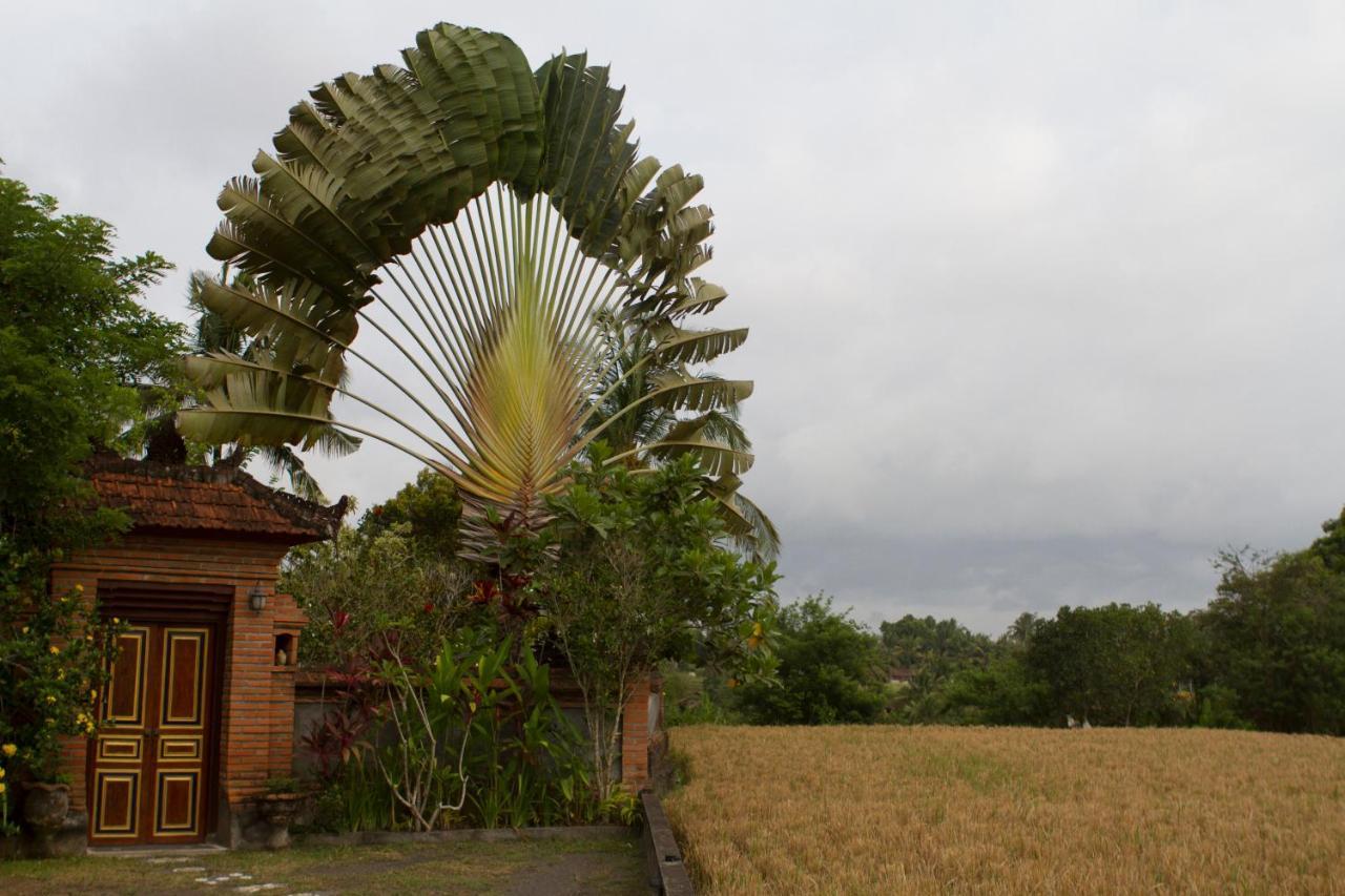 Rumah Sungai Villa อูบุด ภายนอก รูปภาพ