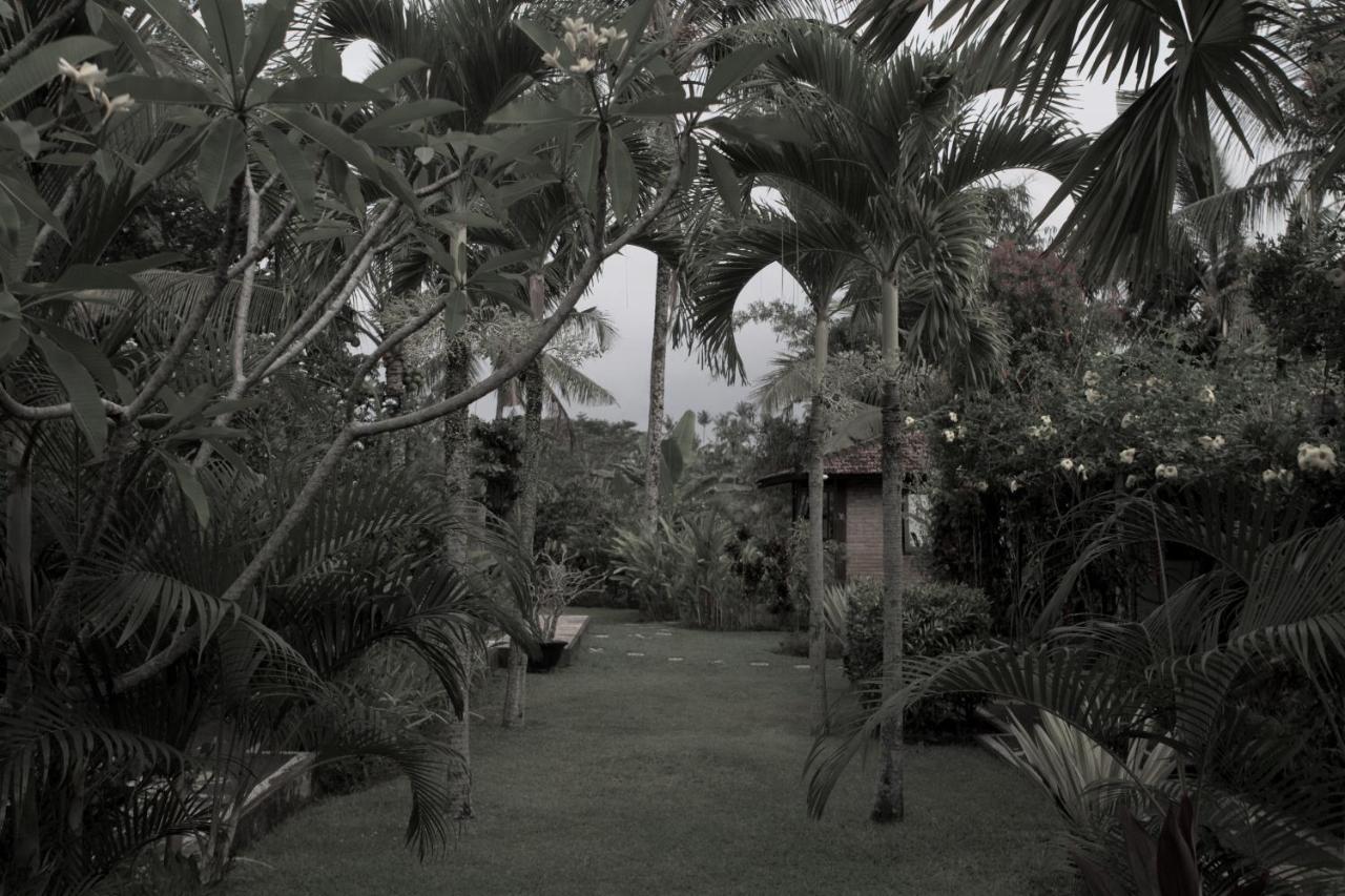 Rumah Sungai Villa อูบุด ภายนอก รูปภาพ