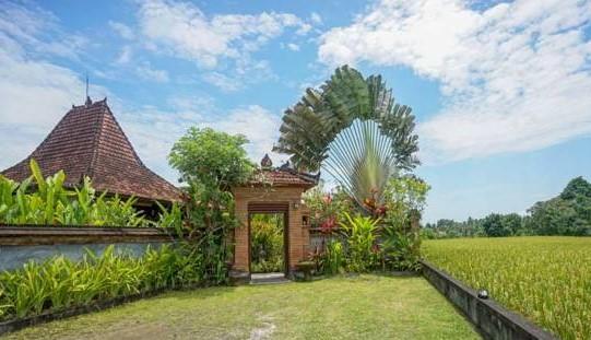 Rumah Sungai Villa อูบุด ภายนอก รูปภาพ