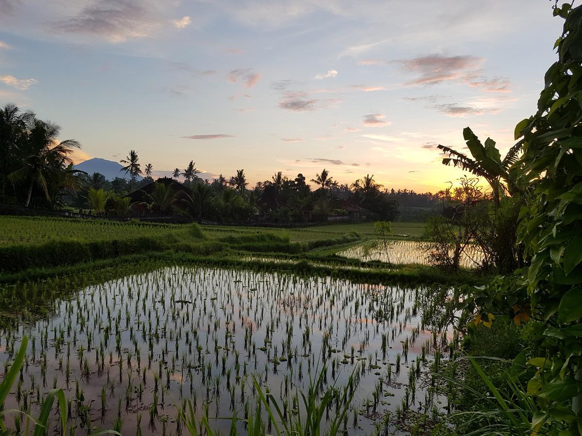 Rumah Sungai Villa อูบุด ภายนอก รูปภาพ