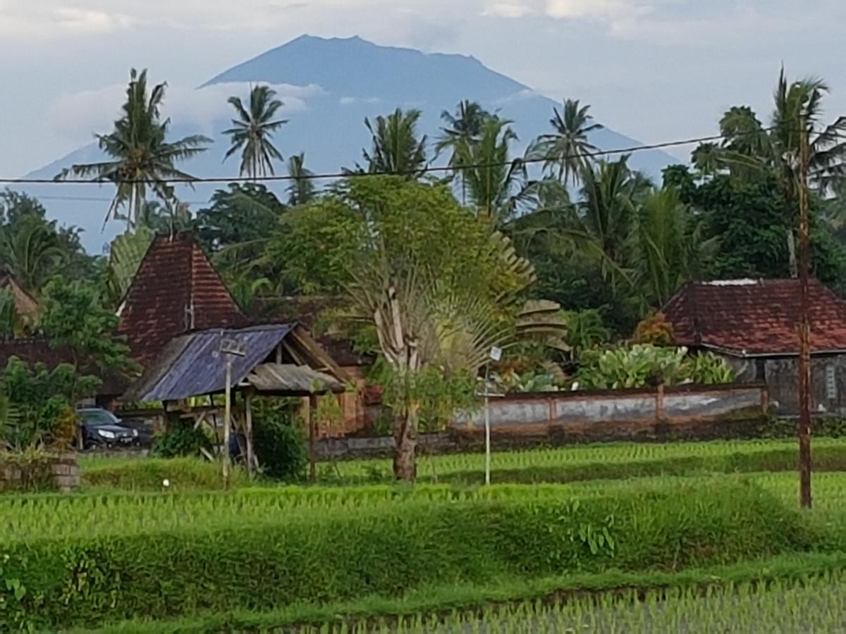 Rumah Sungai Villa อูบุด ภายนอก รูปภาพ